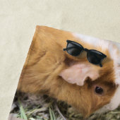 Serviette De Plage Piggy (En situation)