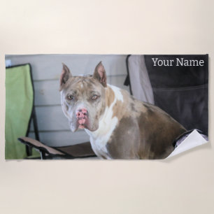 Serviette De Plage Pit Bull