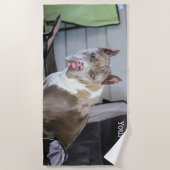 Serviette De Plage Pit Bull (Devant)
