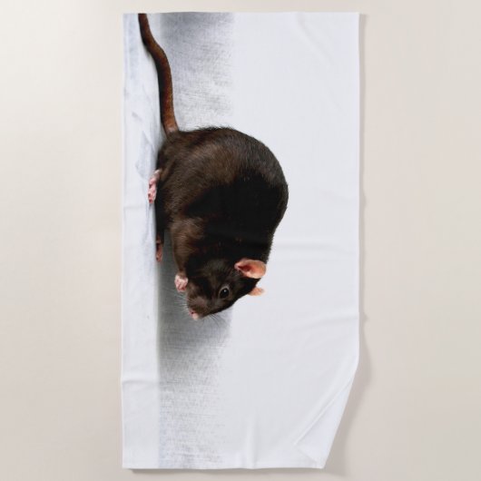 Serviette De Plage Rat btcnm (Devant)