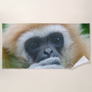 Serviette De Plage Regard Sur Les Yeux D'Un Lar Gibbon