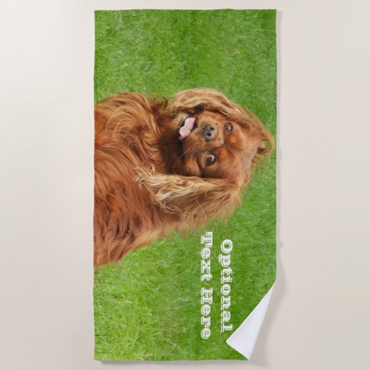 Serviette De Plage Ruby Cavalier King Charles Spaniel (Devant)