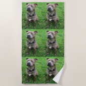 Serviette De Plage Staffordshire Bull Terrier Assis À L'Attention, (Devant)