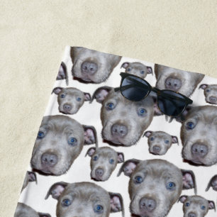Serviette De Plage Staffordshire Bull Terrier Puppy Visages,