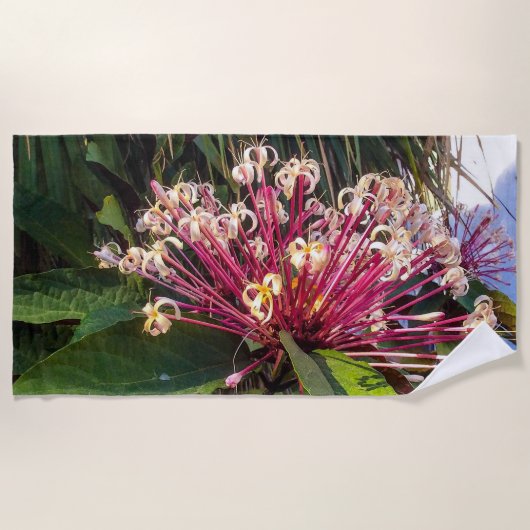 Serviette De Plage Starburst Clerodendrum Fleurs Plage Serviette (Devant)
