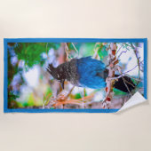 Serviette De Plage Steller's Jay - Photographie originale (Devant)