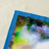 Serviette De Plage Steller's Jay - Photographie originale (En situation)