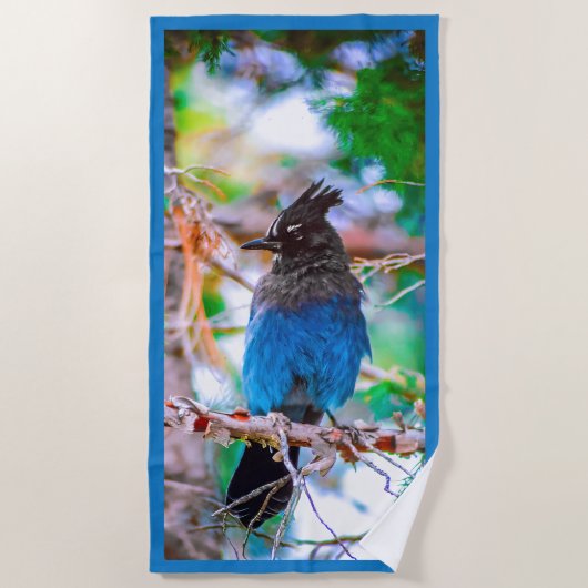 Serviette De Plage Steller's Jay - Photographie originale (Devant)