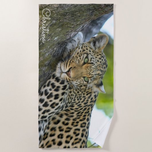 Serviette De Plage Superbe léopard dans un arbre Personnalisé (Devant)