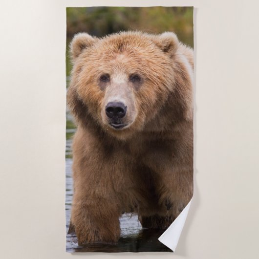 Serviette De Plage Superbe ours brun kodiak (Devant)