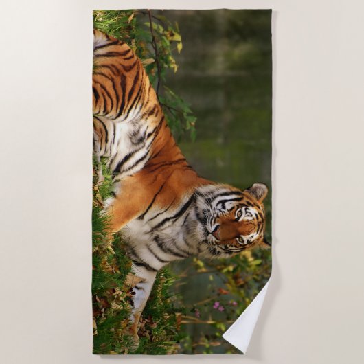 SERVIETTE DE PLAGE TIGER (Devant)