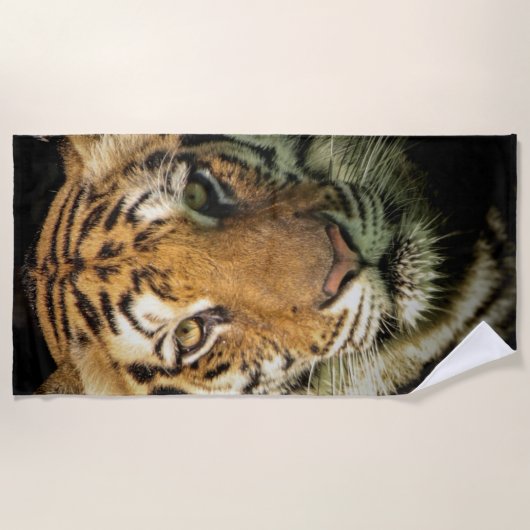 Serviette De Plage tigre (Devant)
