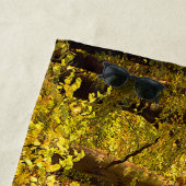 Serviette De Plage Train à vapeur d'automne, Bewdley, Royaume-Uni - A (En situation)