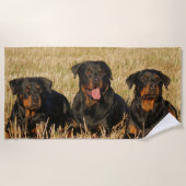 Serviette De Plage Trois chiens Rottweiler - Pack de Rotties (Devant)