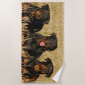 Serviette De Plage Trois chiens Rottweiler - Pack de Rotties (Devant)