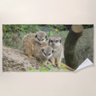 Serviette de plage trois mignonnes Meerkat