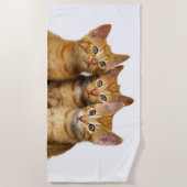 Serviette De Plage Trois mignons Ginger Chat Kittens amis Tête Photo, (Devant)