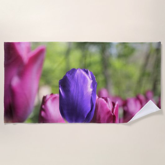 Serviette De Plage Tulipe pourpre simple (Devant)