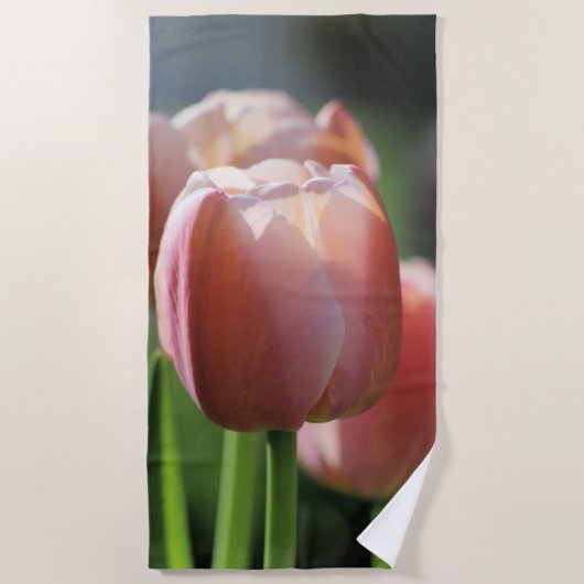 Serviette De Plage Tulipes roses (Devant)