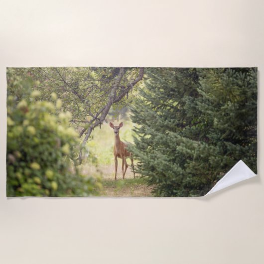 Serviette De Plage Un cerf solitaire (Devant)