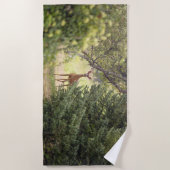 Serviette De Plage Un cerf solitaire (Devant)