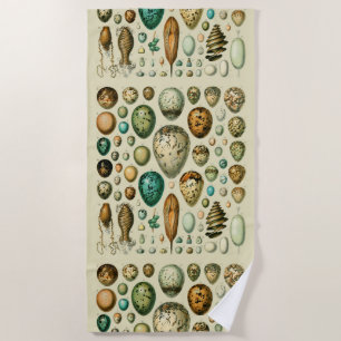 Serviette De Plage Vintage Bird Eggs French Fish Egg