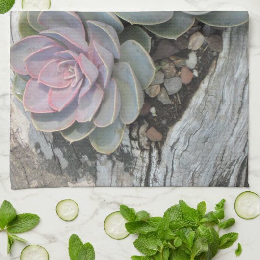 Serviette de plat Echeveria (Plié)