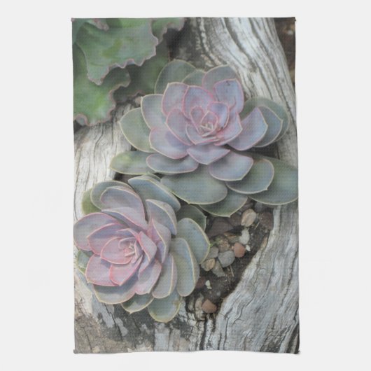 Serviette de plat Echeveria (Vertical)