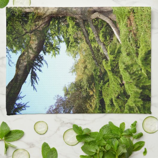 Serviette de thé d'arbre du Cèdre-de-Liban (Plié)