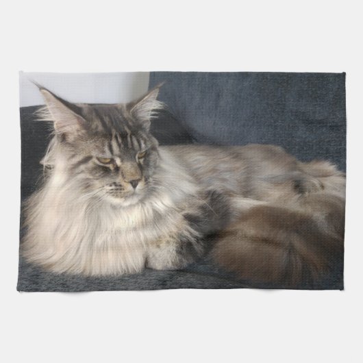 Serviette de thé de chat de ragondin du Maine (Horizontal)