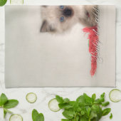 Serviette de thé de chaton de Ragdoll (Plié)