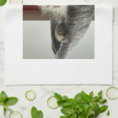 Serviette de thé de chaton de ragondin du Maine (Plié)