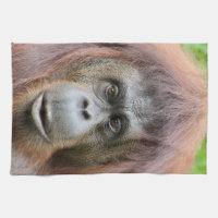 Serviette de thé d'orang-outan
