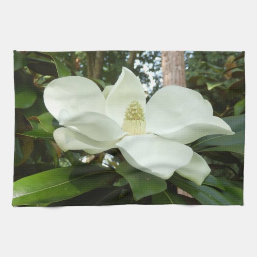 Serviette de thé grandiflora de magnolia (Horizontal)