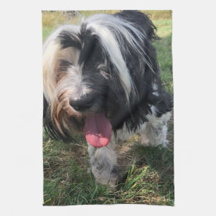Serviette de thé tibétaine de Terrier