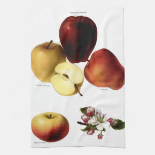 Serviette de thé vintage pomme