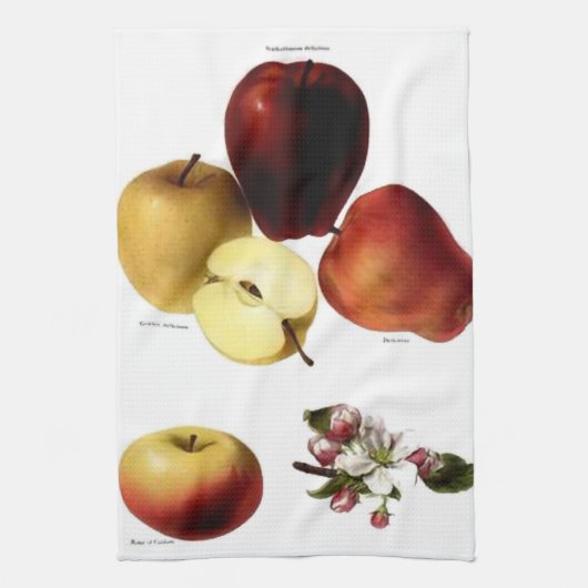 Serviette de thé vintage pomme (Vertical)