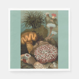 Serviette En Papier 19e century print sea anemones
