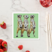 Serviette En Papier 3 Meerkats debats Thunder_Cove (En situation)