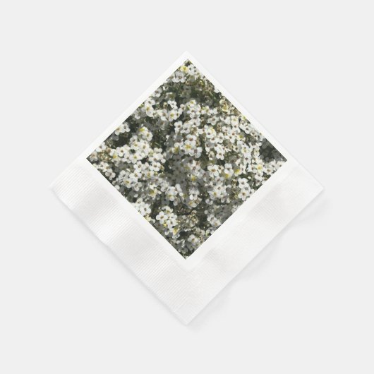 Serviette En Papier 66e anniversaire (Coin)