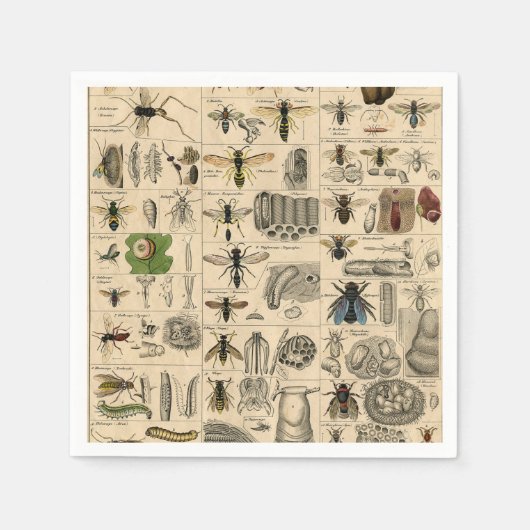 Serviette En Papier Abeille Insecte Bug Wasp Nature Peinture des abeil (Devant)