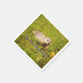 Serviette En Papier Accrocher une marmotte aujourd'hui serviettes (Coin)