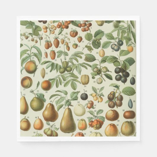 Serviette En Papier Adolphe Millot - Fruits (Devant)