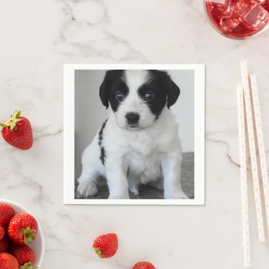 Serviette En Papier adorable Chiot noir et blanc (En situation)