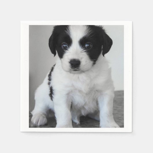 Serviette En Papier adorable Chiot noir et blanc (Devant)