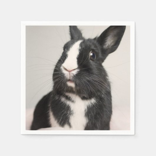 Serviette En Papier Adorable Lapin noir et blanc lapin (Devant)