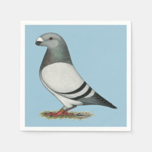 Serviette En Papier Afficher Pigeon Barre Bleue Racer