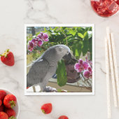 Serviette En Papier African Grey Parrot with Orchids (En situation)