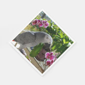 Serviette En Papier African Grey Parrot with Orchids (Coin)