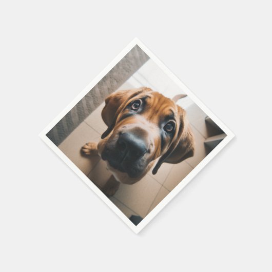 Serviette En Papier Ai Dog (Coin)